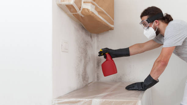 Professional Basement Mold Remediation technician working in Beaverton, OR
