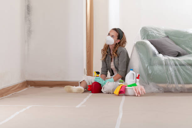 Reliable Basement Mold Remediation contractor in Beaverton, OR by Mold Remediation HQ